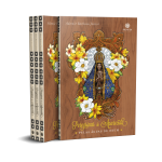 Capa_Peregrinas de Aparecida_01